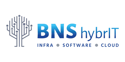 BNS hybrIT | GMI group