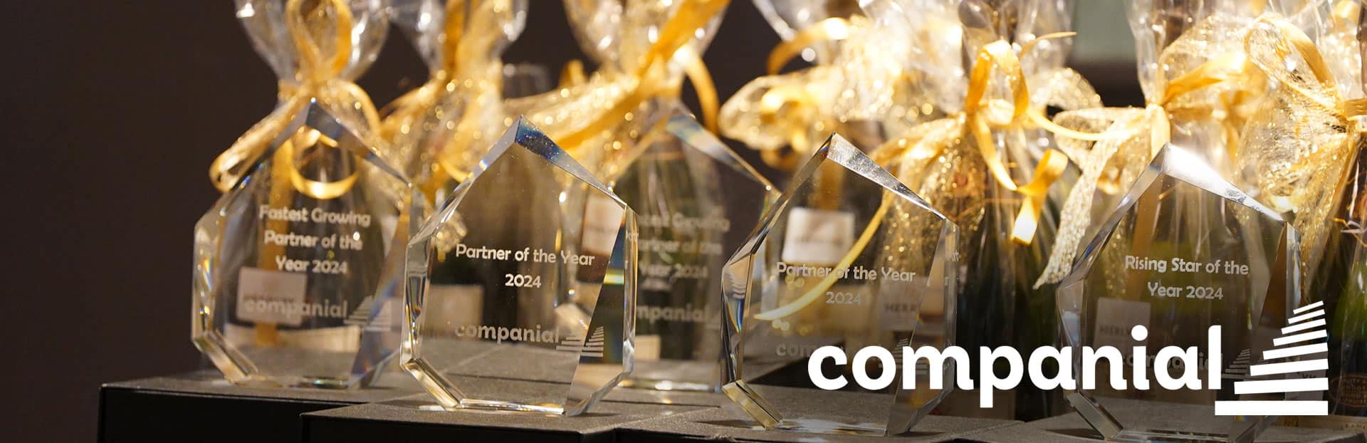 GMI group | Companial Partner of the Year 2024